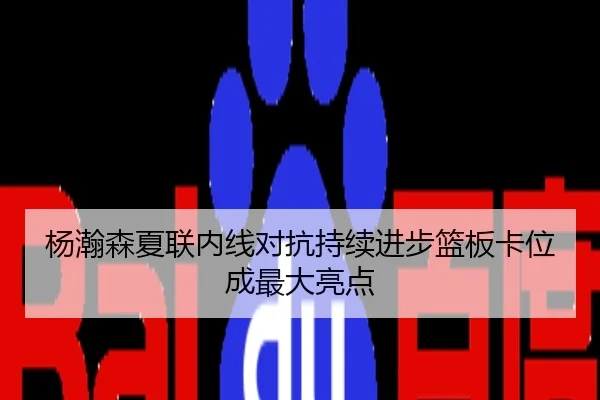 杨瀚森夏联内线对抗持续进步篮板卡位成最大亮点