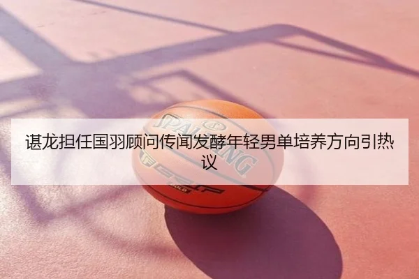 谌龙担任国羽顾问传闻发酵年轻男单培养方向引热议